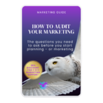 HOW TO AUDIT YOUR MARKETING - FREE GUIDE