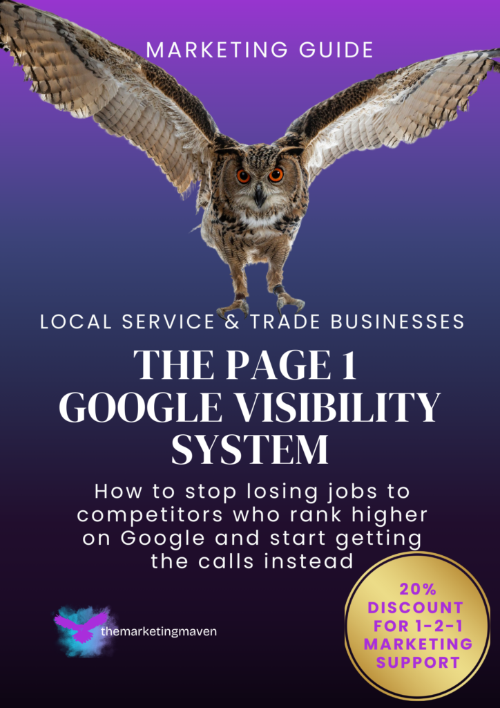 Small Business Guide The Page 1 Google Visibility System