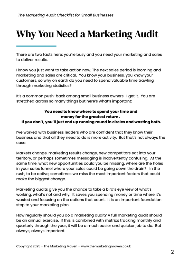 HOW TO AUDIT YOUR MARKETING SAMPLE PAGE 1