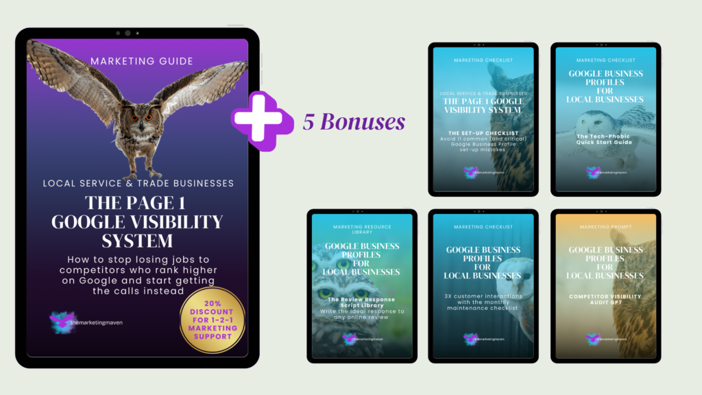 Local SEO-page-1 google-visibility-system The Page 1 Google Visibility System for Local SEO